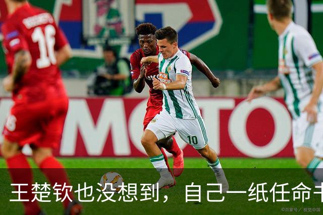 王楚钦也没想到,自己一纸任命书,竟然让好搭档孙颖莎陷入了争议
