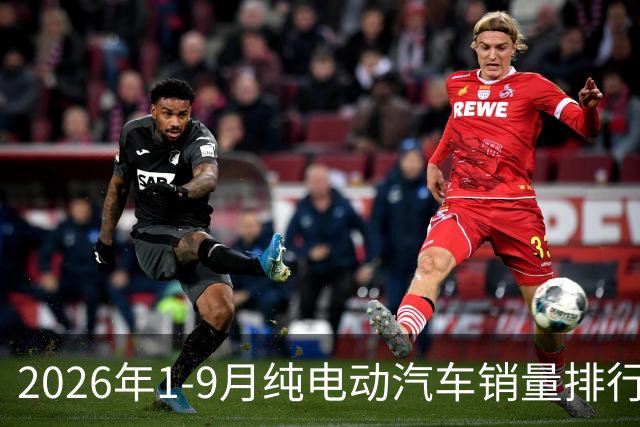 2026年1-9月纯电动汽车销量排行榜